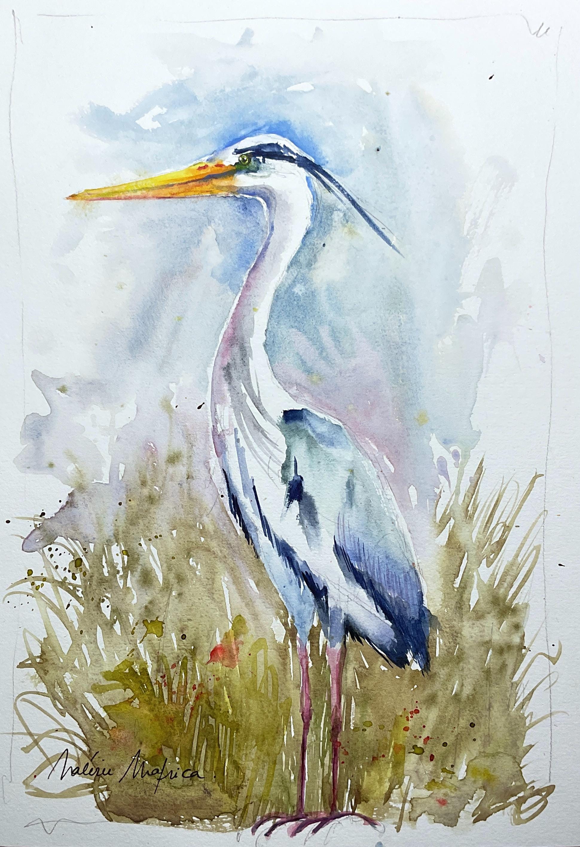 アオサギの絵画、アオサギのオリジナル水彩画、沼地や池の水鳥の絵画