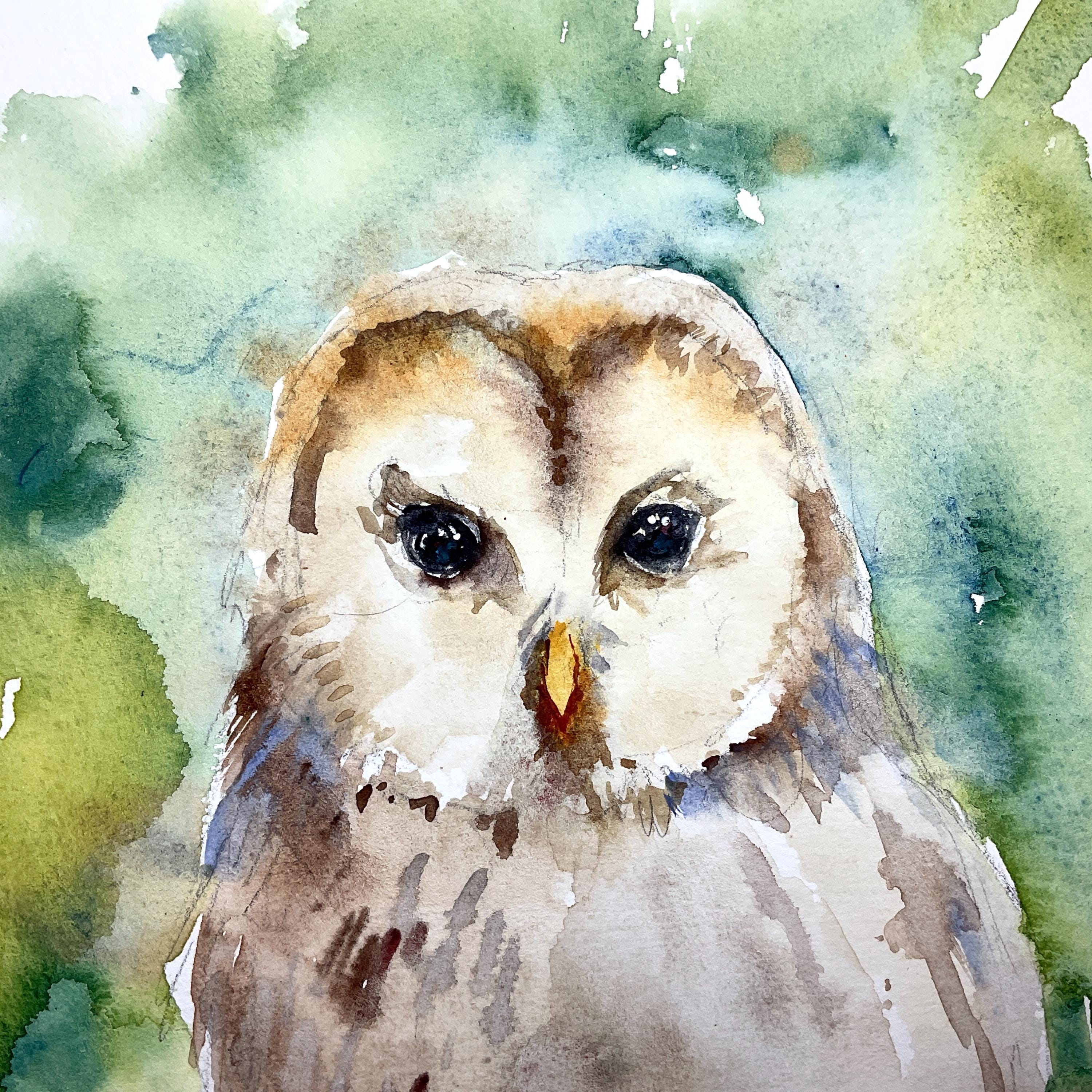 水彩フクロウ、オリジナルのフクロウの絵画、フクロウの装飾、フクロウ