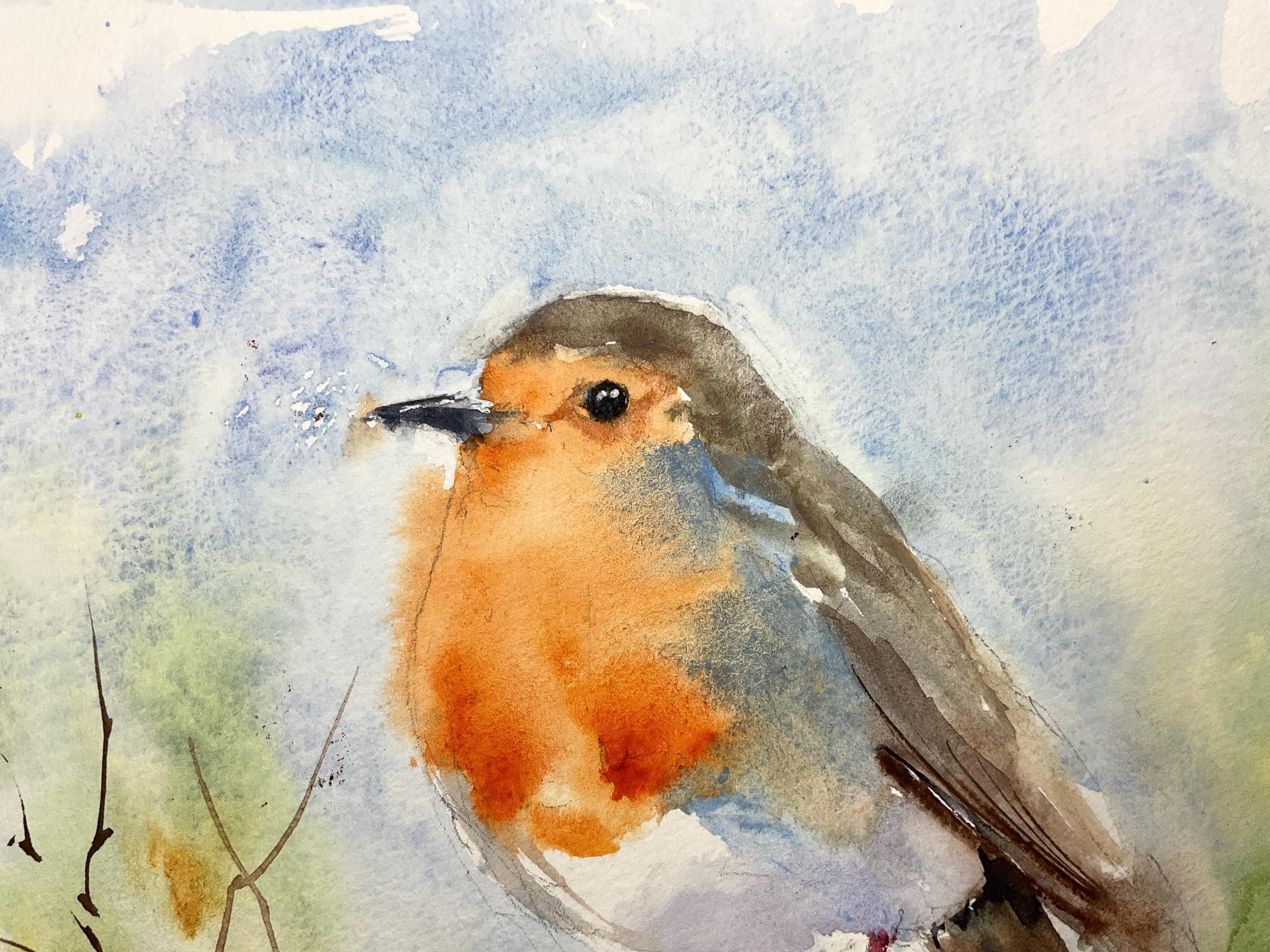 ロビンのオリジナル水彩画、庭の鳥をテーマにした出産祝いの小さな