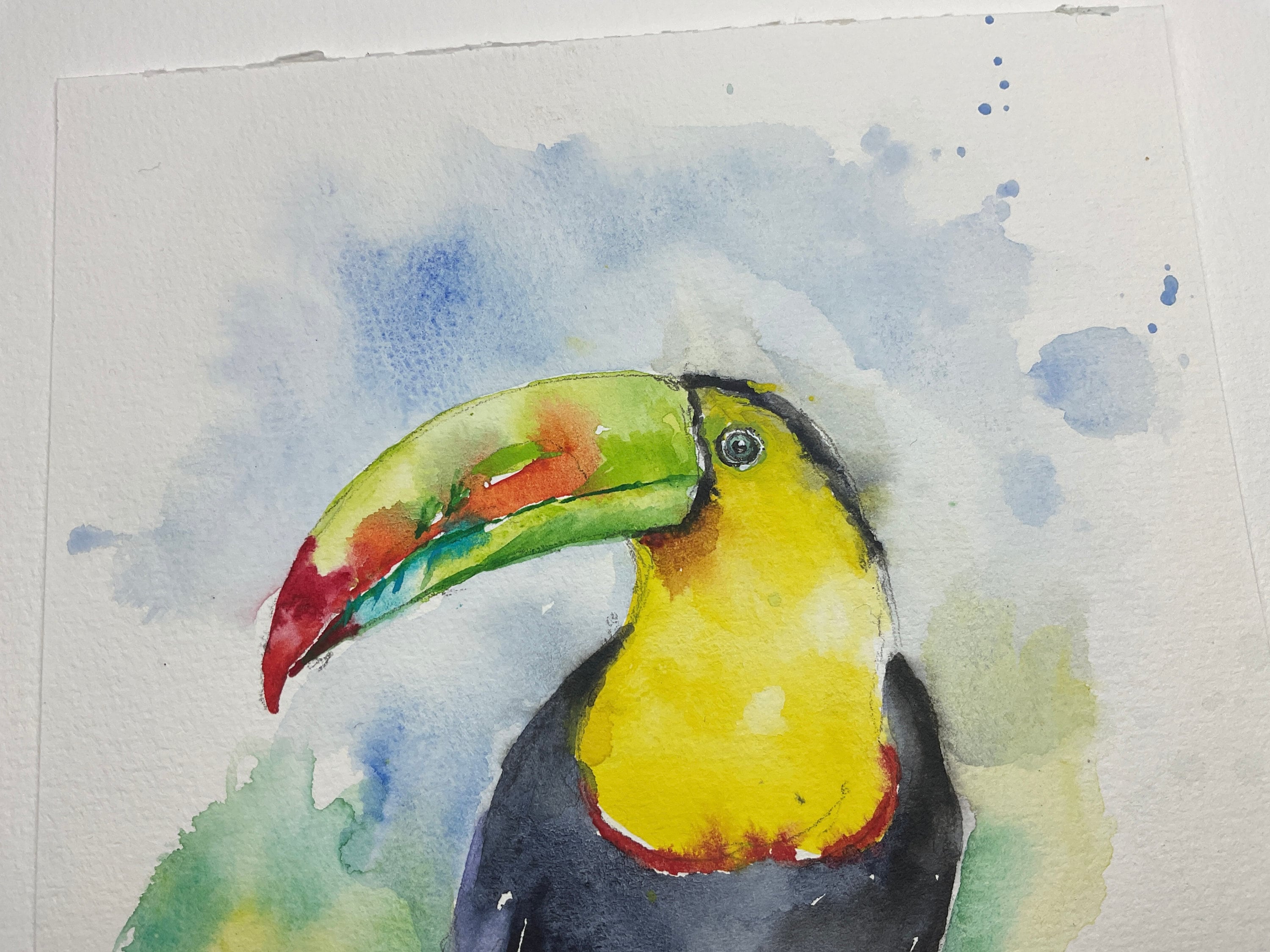 オリジナルの水彩画のオオハシ、エキゾチックな鳥の絵、ジャングルの鳥
