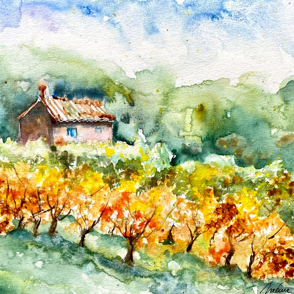 Watercolor landscape of vines in autumn in Provence, original painting of small house in the vineyards on the wine route in France