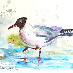 Black-headed seagull in original watercolor, seagull painting, marine-themed art deco, seabird poster, seagull by the sea in summer artwork