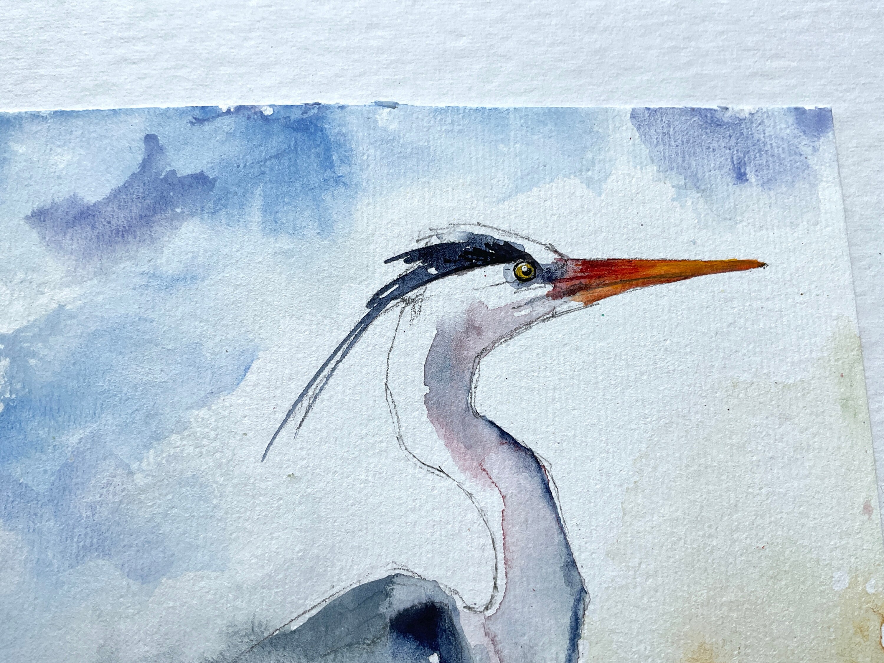 アオサギの絵、アオサギのオリジナル水彩画、沼地と池の渉禽類の絵