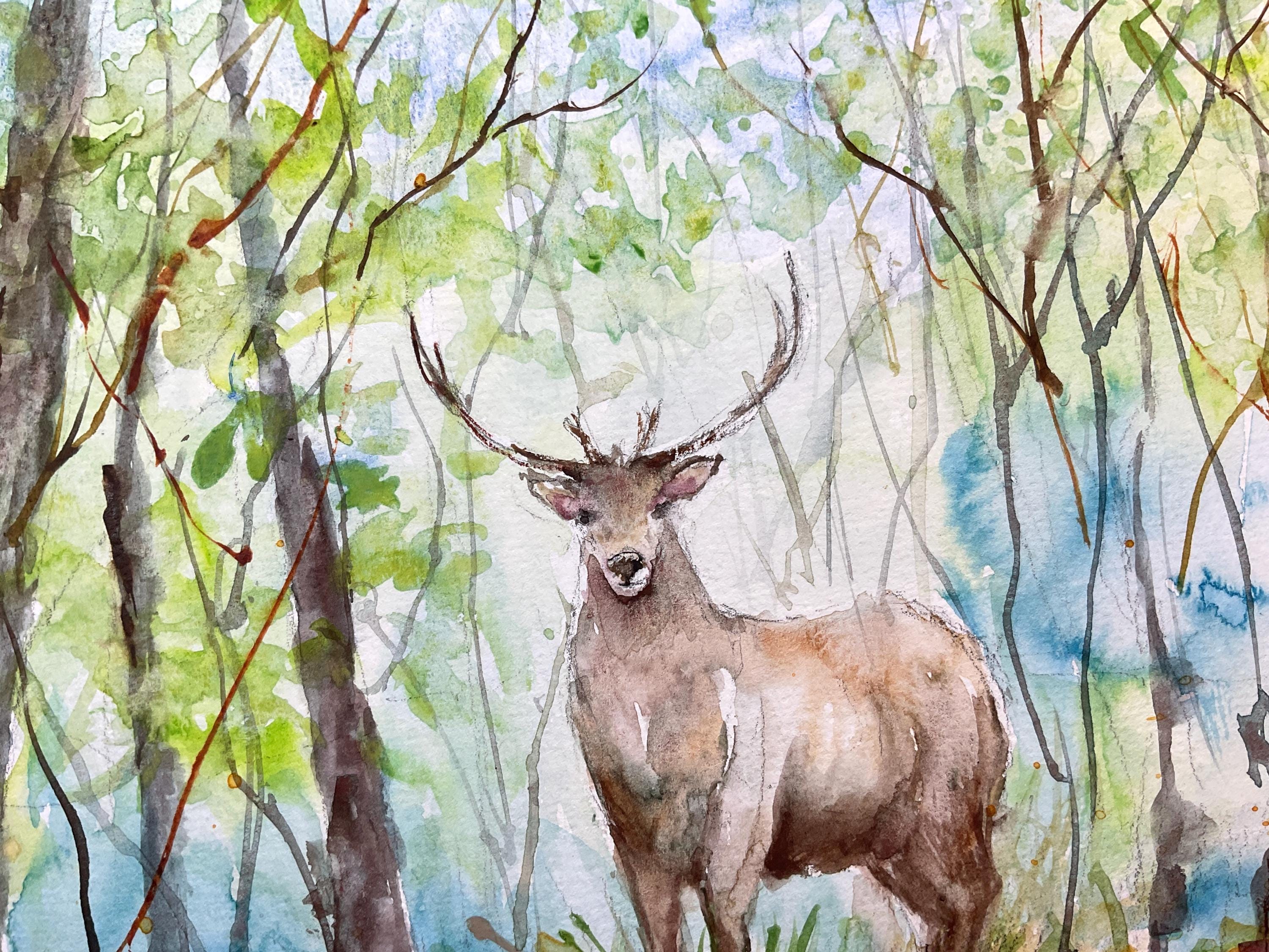水彩画「鹿」 鹿のオリジナル絵画、森の鹿の水彩画、鹿の壁アート、森の野生動物の