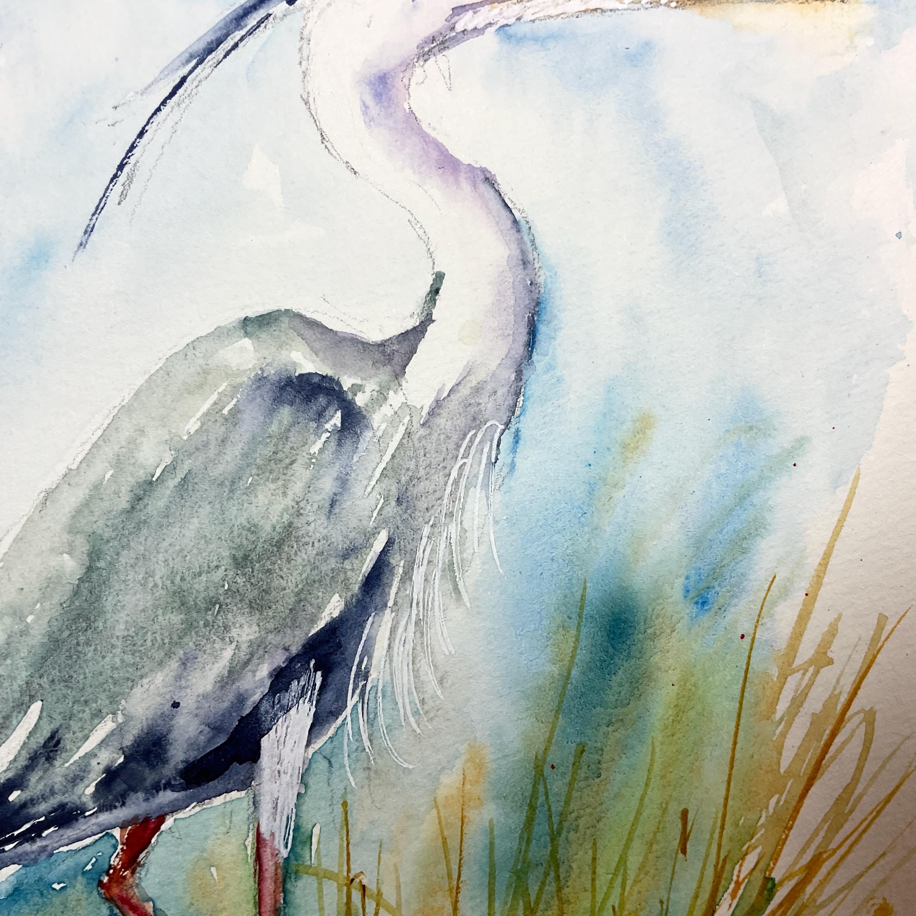 アオサギの絵画、アオサギのオリジナル水彩画、沼地や池の水鳥の絵画