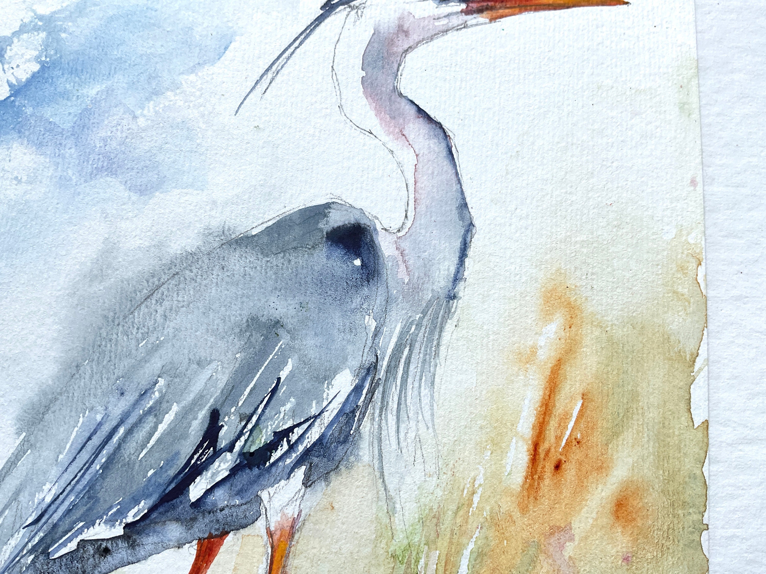 アオサギの絵、アオサギのオリジナル水彩画、沼地と池の渉禽類の絵