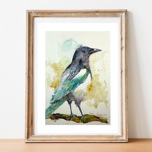 Magpie watercolor painting, Original garden bird art, black and white wild bird art, thieving magpie, ornithology collection illustration