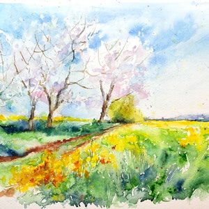 Paesaggio di fiori di ciliegio in primavera, scena di campagna originale ad acquerello, sentiero nei campi di colza, dipinto primaverile