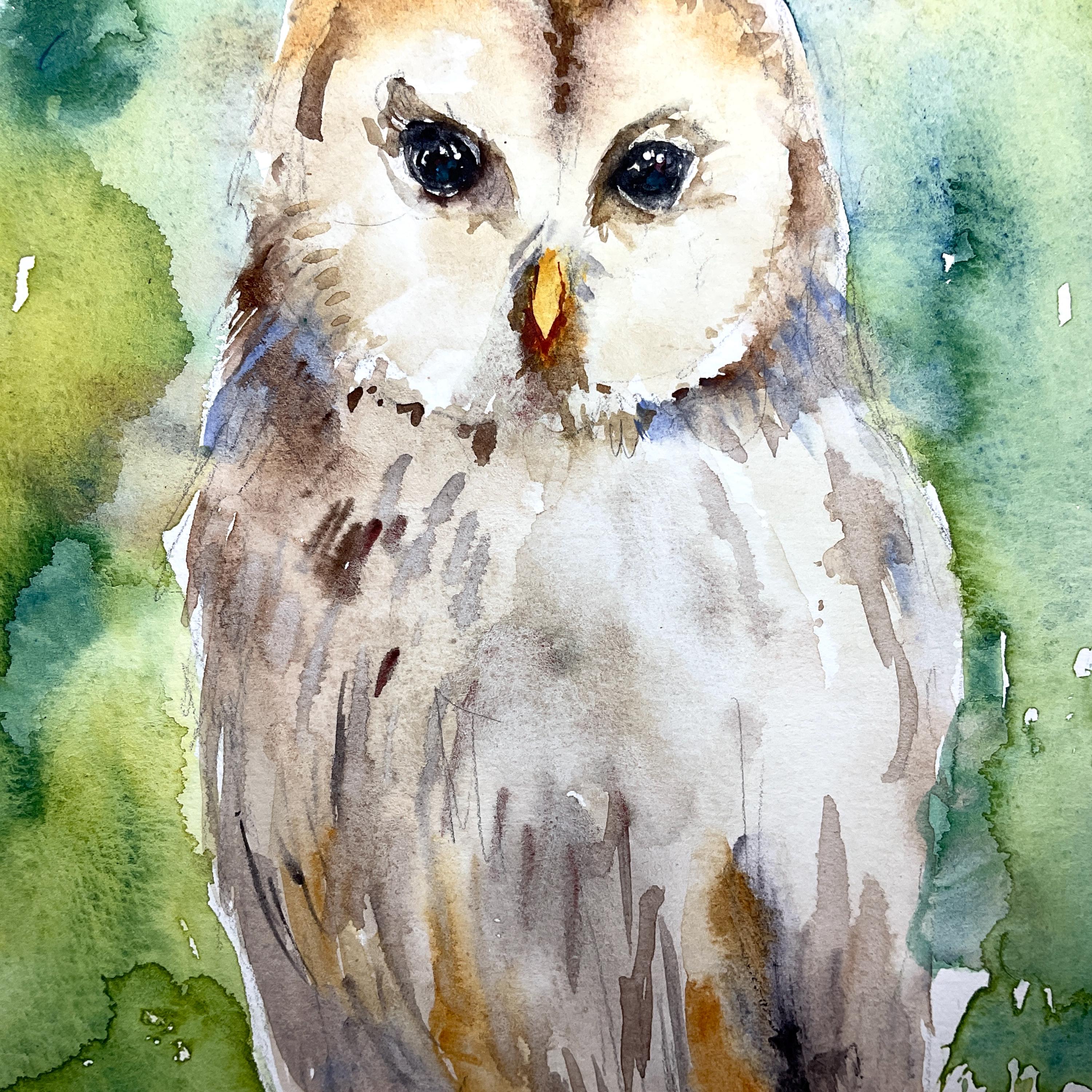 水彩フクロウ、オリジナルのフクロウの絵画、フクロウの装飾、フクロウ