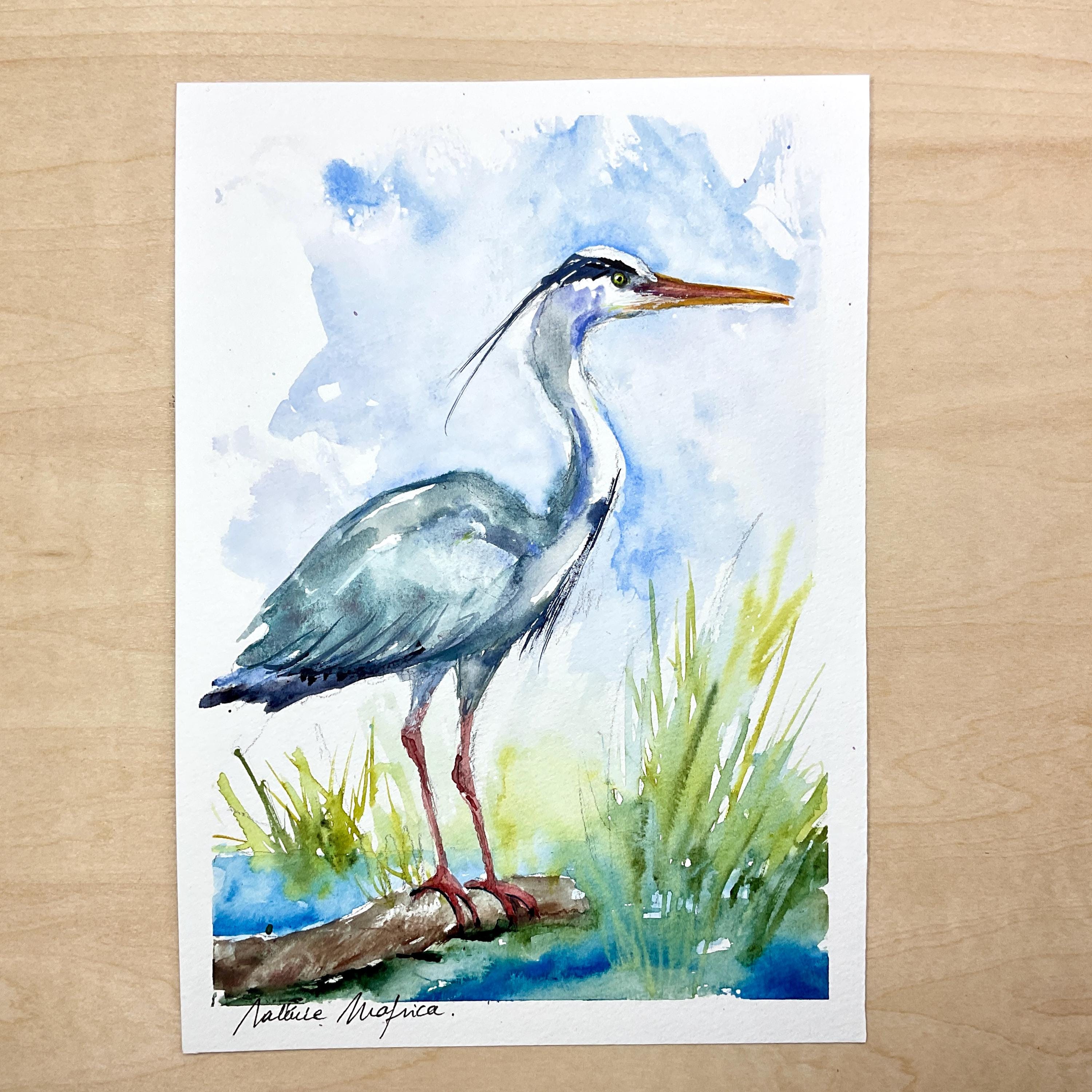 アオサギの絵画、アオサギのオリジナル水彩画、沼地や池の水鳥の絵画