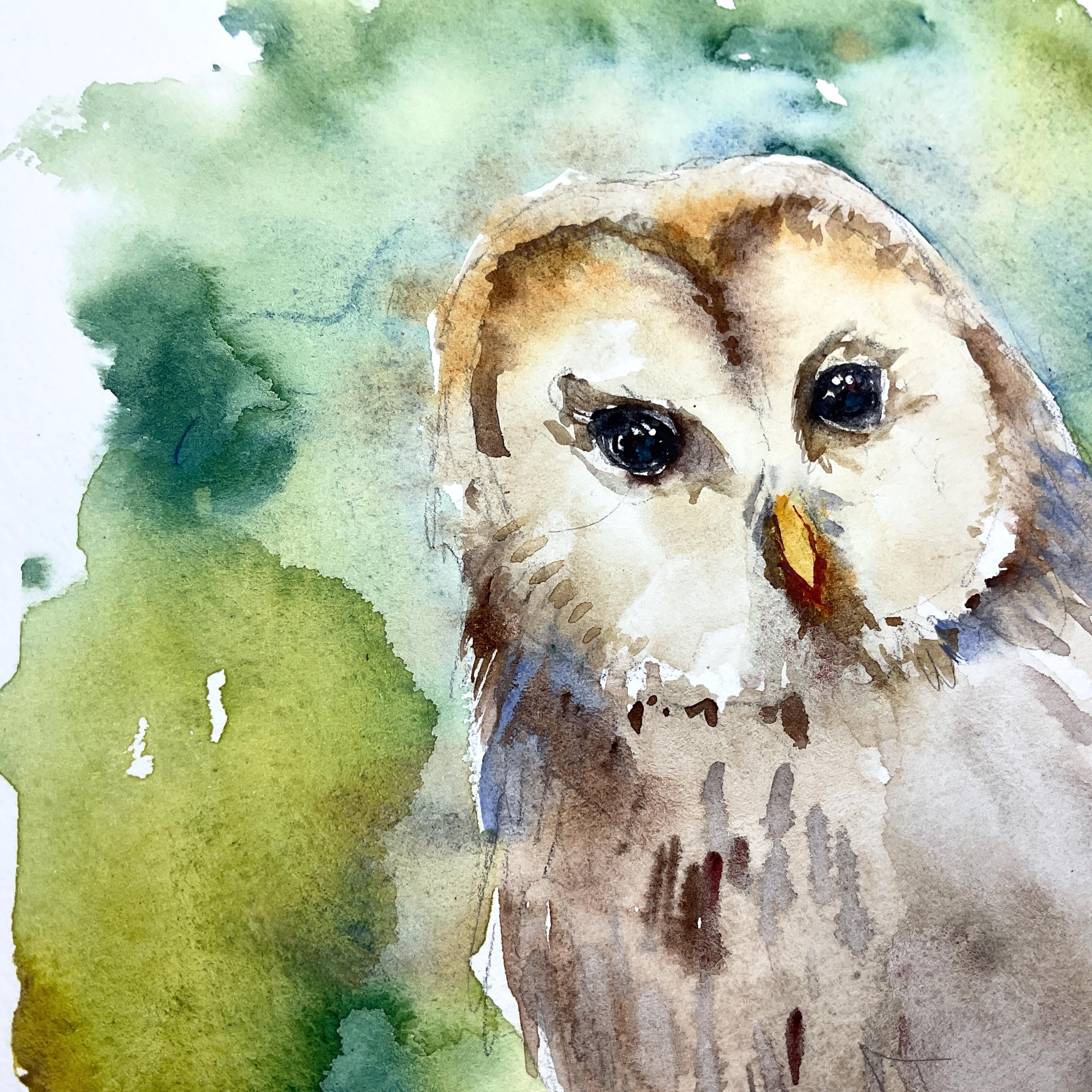 水彩フクロウ、オリジナルのフクロウの絵画、フクロウの装飾、フクロウ