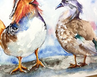 水彩画「おし鳥夫婦」 オシドリのつがいのオリジナル絵画、水かきのある鳥のオスとメスの恋の
