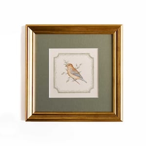 Vintage Bird Painting, Bird Art, coastal grandmother art, preppy art