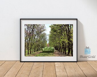C Cypress Tree Tunnel Art Print Home Decor Wall Art Poster