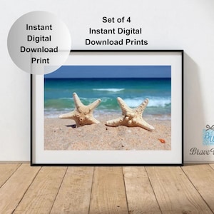 Starfish Instant Download Digital Photograph Print, Set of 4 Prints, Starfish Decor, Sea Star, Beach Decor, Beach Gifts, Beach Themed