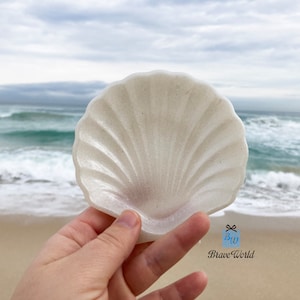 Puede incluir: Un plato blanco en forma de concha con una superficie texturizada. El plato se sostiene frente a una escena de playa con olas del océano y un cielo nublado. Es un artículo decorativo.