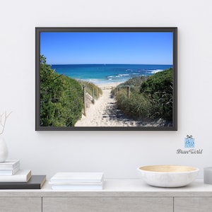 May include: A framed photograph of a path leading to a beach. The path is lined with green bushes and leads to a sandy beach with blue water and a clear blue sky.