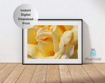 Yellow Rose Flower Instant Digital Download Print, Floral, Yellow Decor, Digital Photo Print, Botanical, Flower Wall Prints, Abstract Art