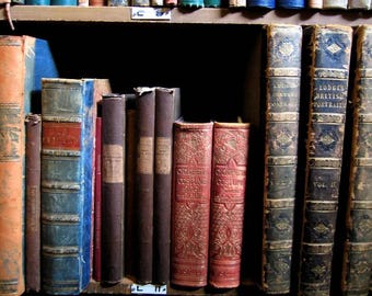 Set of 10 Vintage Books Customizable by Color Random Selection | Home Library Decor | Wedding Reception Decor | Cabinet Office | Movie Props