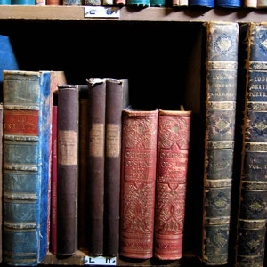 Vintage Books Customizable by Color Random Selection | Bookshelf Decor | Home Decor | Wedding Table Decor | Cabinet Office Decor | Props