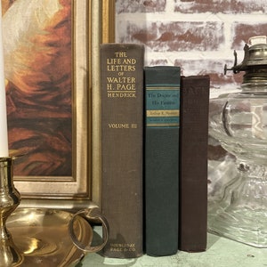 Vintage Books Customizable by Color Random Selection | Bookshelf Decor | Home Decor | Wedding Table Decor | Cabinet Office Decor | Props