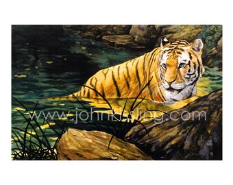 Siberian Tiger ... Signed Print 8.5" x 11"