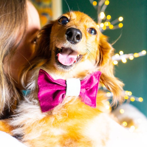 Christmas dog collar accessories hot sale