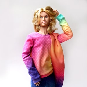 Rainbow Sweater + pants + scarf  for Fashion Royalty,Ken