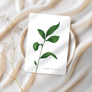 Set von 10 Original Aquarell Postkarten ""Made to grow"" auf mattem Papier."