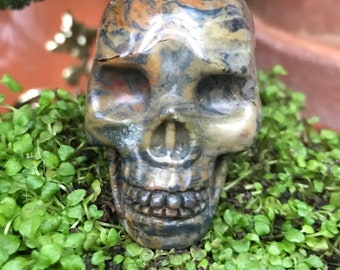 Crystal skull 2’, rainforest jasper, hand carved skull,
