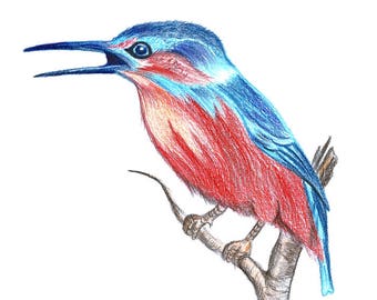 Digital Drawing Portrait Custom Cartoon Portrait Cartoon Etsy