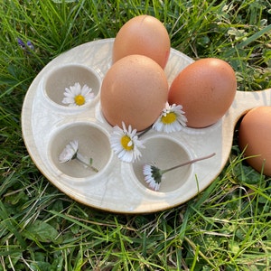 Puede incluir: Un porta huevos de cerámica blanca con seis compartimentos individuales, cada uno con un huevo marrón. El porta huevos está decorado con pequeñas flores blancas.