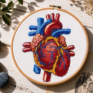 Anatomisch hart kruissteekpatroon, borduurwerk menselijk hart, anatomie sampler, borduurwerk menselijk lichaam, enge x-stitch pdf