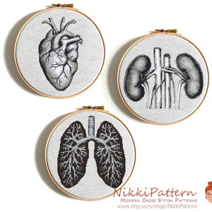 Human anatomy cross stitch pattern PDF Human heart cross stitch Lungs Kidney Anatomy art Easy Modern cross stitch Counted cross stitch chart