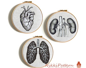 Human anatomy cross stitch pattern PDF Human heart cross stitch Lungs Kidney Anatomy art Easy Modern cross stitch Counted cross stitch chart