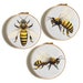Bee cross stitch pattern Animal cross stitch PDF Modern cross stitch Insect cross stitch chart Counted cross stitch Simple Easy cross stitch