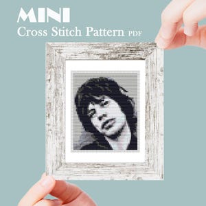 Patrón de punto de cruz mini, retrato artístico moderno en miniatura, cantante famoso, pintura en miniatura, PDF de punto de cruz fácil