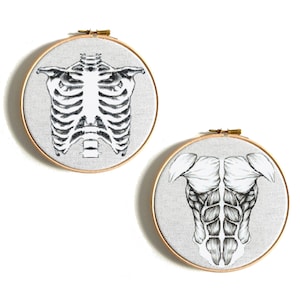 Modern cross stitch pattern, Human Anatomy cross stitch, Muscle Body, Bones cross stitch, Funny cross stitch PDF, Anatomical embroidery