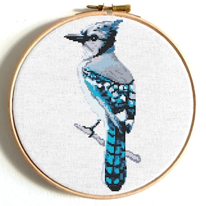 Bird cross stitch pattern PDF, Blue Jay, nature art, easy modern embroidery design, digital download