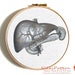 see more listings in the Anatomy section