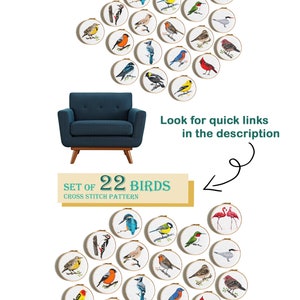 Small bird cross stitch pattern bundle, Robin bird, Kingfishers, Great Tit, cute singing birds counted cross stitch, easy cross stitch PDF image 4