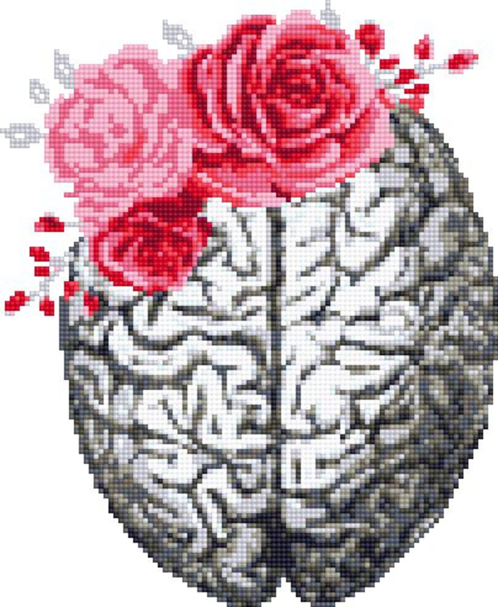 Brain Cross Stitch Pattern Human Anatomy Body Cross Stitch Etsy