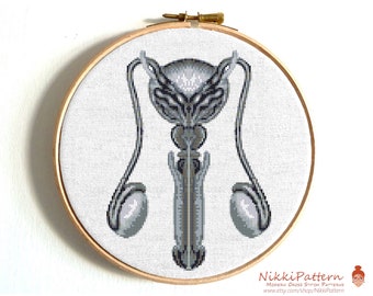 Anatomy cross stitch pattern Male reproductive system Anatomical cross stitch Reproductive system  Funny Feminist counted cross stitch