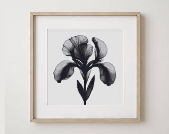 Iris cross stitch pattern PDF, Monochrome modern floral, Flower embroidery, Black iris x-stitch, Black wildflower, Digital download PDF