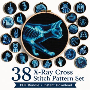 38 patrones de punto de cruz con rayos X, bordado de anatomía animal gótica (paquete PDF)