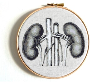 Anatomy Cross Stitch Pattern: Human Kidneys, Digital download PDF Embroidery