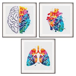 Anatomisch kruissteekpatroon, hartkruissteek, kruissteek menselijke anatomie, enge kruissteekkaart, grappig kleurrijk borduurwerk-pdf