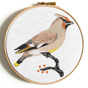 Patrón de punto de cruz en PDF para ala de cera, diseño de bordado de aves, arte natural, descarga digital. Pequeño gráfico de punto X contado. Bordado a mano de aves.
