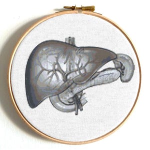 Liver cross stitch pattern, Human anatomy counted cross stitch chart, Human organs, Anatomical liver, Body embroidery, Digital PDF pattern