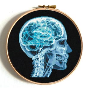 Skull modern cross stitch pattern, X-ray embroidery, Human skull, Funny anatomy, Radiate skull and brain, Digital instant download PDF